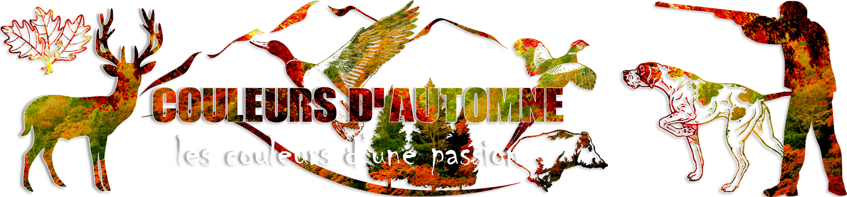 couleursdautomne shadow